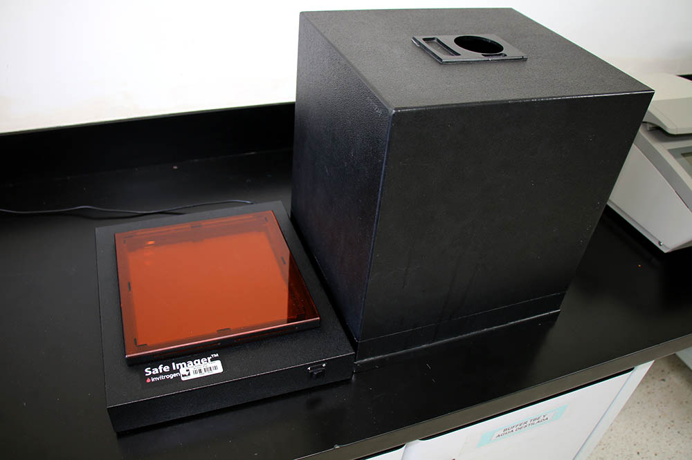 Transiluminador de luz azul INVITROGEN