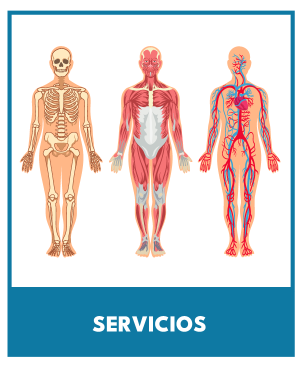 btn infraestructura1