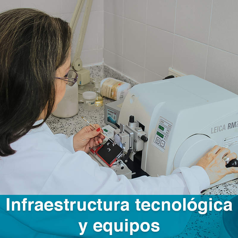 btn servicios diagnosticos2