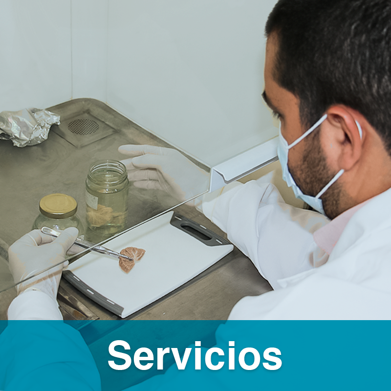 btn infraestructura1