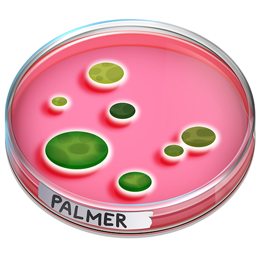anatomical heart 1fac0